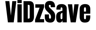 VidzSave logo